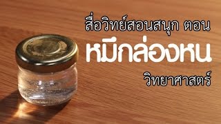 หมึกล่องหน วิทย์ฯ ป.6