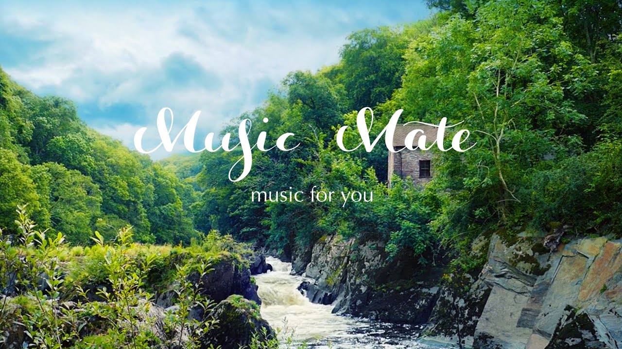 Healing Music In The Forestтшбcomfortable Rest Music Stress Relief Music