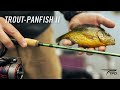 TFO TROUT PANFISH II Series