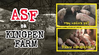 Paanong Nakaligtas sa ASF ang Ibang Baboy ng Kingpen Farm