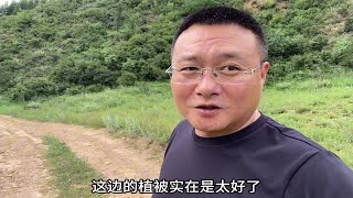 内蒙古深山只住一户的小村，水电自足牛羊成群，这样的生活，咋样