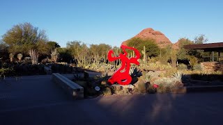 The New Rotraut Exhibit at Desert Botanical Garden