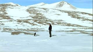 Werner Herzog's Encounters At The End Of The World (2008) 1080p HDR_ddv3