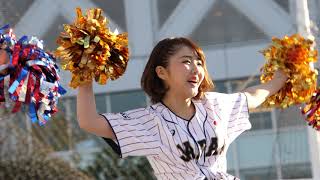 侍ジャパン NPB11球団合同チア「Dream Park ～野球場へ行こう～」