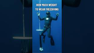 How much weight to wear while Freediving - The Surface Safety Test #freediving #spearfishing