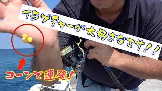 Vol.26【那覇一文字真ん中 編】イラブチャーの大好きなあのエサでHIT連発！？