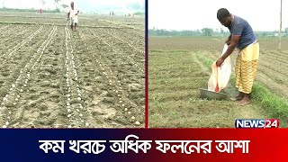 আগাম আলু চাষে ব্যস্ততায় নীলফামারীর চাষীরা | News24