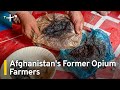 Afghanistan's Poppy Farmers Experience Withdrawal From Opium Money｜TaiwanPlus News