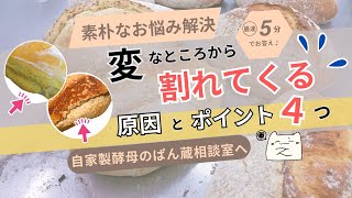 横割れ、外割れ　焼くと割れちゃう原因と対処法をお伝えします（素朴なお悩み解決29）天然酵母パン教室ぱん蔵【東京/山梨】