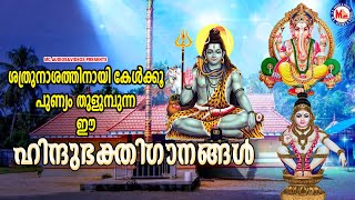 ശത്രുനാശത്തിനായി കേൾക്കൂ പുണ്യം തുളുമ്പുന്ന ഈ ഹിന്ദുഭക്തിഗാനങ്ങൾ | Hindu Devotional Songs Malayalam