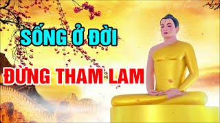 Lời Phật Dạy: Sống Ở Đời Không Nên Tham Lam - Tham Chính Là Bắt Nguồn Của Mọi Tội Lỗi