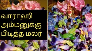 வாராஹி அம்மனுக்கு பிடித்த மலர்/ varahi amman favourite flower