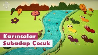 Karıncalar | Video | Şubadap Çocuk