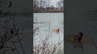 Michigan firefighters rescue dog that fell through a frozen lake