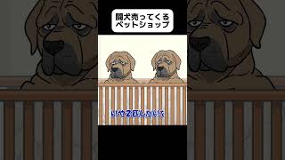 闘犬売ってくるペットショップ【アニメ】 #shorts