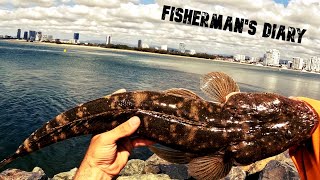 Gold Coast Fishing - Big Flathead And Heaps Of Species ~ Fisherman's Diary Ep 789