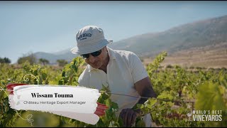 Château Heritage: Discover the Essence of Wine, Luxury, and Adventure