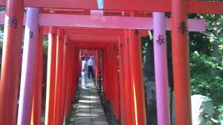 乙女稲荷神社 -- 未来へのトンネル [B]