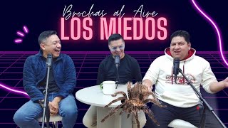 BROCHAS AL AIRE Los Miedos