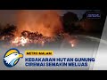 Kebakaran Hutan Gunung Ciremai Semakin Meluas