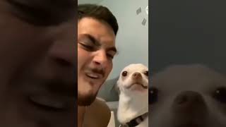 Dog React on middle finger 😂😂😂 #animals #funny#funnyclips #shorts #viral#viralshorts  #dogs#doglover