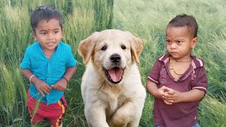 kids ka cutie mitra the dog and Super Kids Funny 🤣 videos #2SuperKing