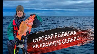 Настоящая морская рыбалка в Баренцевом море. Ловля трески. Отдых и развлечения в Мурманске.