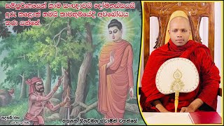 කාමභූමියේදී අවබෝධය කරා යන්නේ.2005Ven Hasalaka Seelawimala Thero