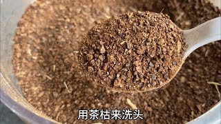 茶枯洗头 自制植物洗发水 植物(茶籽) 古法洗头方法 纯天然