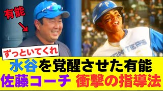 【ﾊﾟｲﾅｯﾌﾟﾙ栽培法や！】日ハム 水谷瞬を覚醒させた佐藤コーチがまさかの指導法をしていたことが判明　【なんJ反応】【2chスレ】【プロ野球反応集】