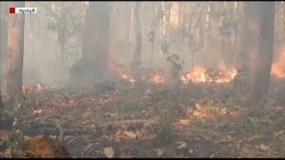 തൃശൂർ ചിമ്മിനി മേഖലയില്‍ കാട്ടുതീ പടരുന്നു