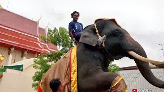 IShowSpeed Rides Elephant In Thailand 🇹🇭