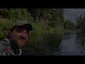 fly fishing for trout on the metolius river gorgeous rainbow trout u0026 the elusive giant bull trout