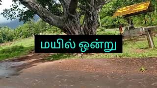 #viral #trending #youtube #vibes #nature #like #life #travel #செங்கோட்டை to குண்டாறு நீர்த்தேக்கம்😎👍