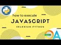 How to run javascript from the selenium script in Python .