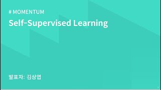 AIKU 24-1 Momentum 2회: Self-Supervised Learning and SimCLR