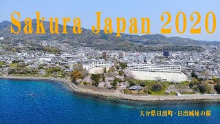 Sakura Japan Hiji Town, Oita Prefecture 4K drone aerial photography　大分県日出町・日出城址の桜