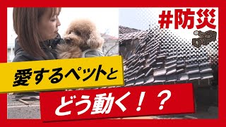 こちらJ:COM安心安全課「ペットとともに災害を乗り切る」～大阪府東大阪市～