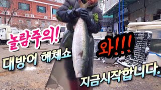 👉대방어의 계절이 돌아왔다. 바로잡아 포장해주는 과정과 시세 맛리뷰까지~생생정보!!!