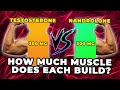 300 MG Testosterone Vs. 300 MG Nandrolone - Exactly How Much Muscle Does Each Build?