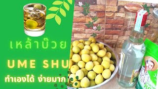 เหล้าบ๊วย ทำเองง่ายๆ อร่อยด้วย#เหล้าบ๊วย #เมรี #UMESHU