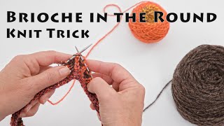 Brioche in the Round Knitting Trick with Laura Nelkin