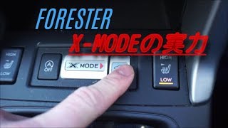 【スバル フォレスター】X-MODEの実力は！？