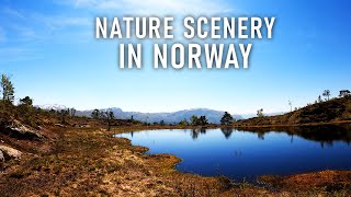 Virtual Run, Norwegian Nature Scenery (And a Transparent Toilet Door) | Treadmill Workout, 4k
