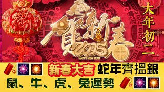 【初二吉祥】蛇年齊搵銀！鼠：做皇帝，正偏財掂哂｜牛：貴人照，客似運來｜虎：結人緣，宜守不宜攻｜兔：打工仔，注意健康 20250130 #大衛sir #玄學 #風水 #文化 #中國 #傳統文化