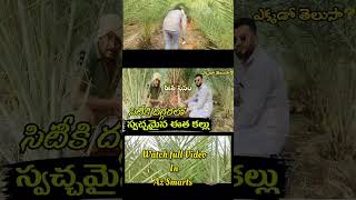 సిటికీ దగ్గరలో స్వచ్ఛమైన ఈత కల్లు Watch full vudeo in Az Smarts youtube channel #Eatakallu #ఈతవనం