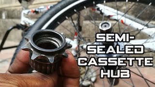 Servicing a semi-sealed BMX cassette hub.