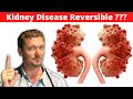 Reverse Chronic Kidney Disease (CKD) [Improve Kidney Function with Diet] 2024