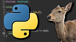 Building a "Bambi Math" Game in Python