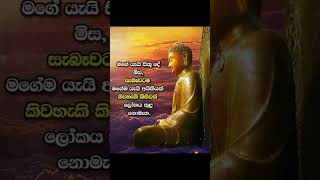 උතුම් තෙරුවන් සරණින් නිදුක් නිරෝගී වාසනාවන්ත ජීවිතේකට ආශිර්වාද වේවා❤️🙏 |බුදු සරණයි 🙏✨️ |#subscribe👈😇